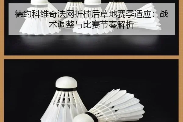德约科维奇法网折桂后草地赛季适应：战术调整与比赛节奏解析